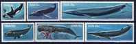 #SWA 80. Whales. Michel 466-71. MNH(**) - Namibie (1990- ...)