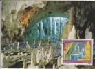 Carte-Maximum ITALIE N° Yvert 1536 (Grotte De FRASASSI) Obl Sp Ill 1er Jour 1982 - Maximumkarten (MC)