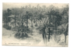 Bechar Ou Colomb-Béchar (Algérie) : Vue Sur La Palmeraie Env 1906 (animée). - Bechar (Colomb Béchar)