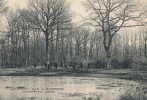 CPA (41)  Forêt De MARCHENOIR  /  Le Grand-Soleux  -  L'Étang  - - Marchenoir