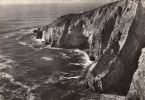 29 - Morgat Crozon - Les Falaises Du Cap De La Chèze. Vue Sur Le Temple Grec - CPSM - Morgat