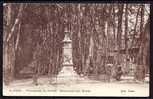 CPA  ANCIENNE- FRANCE- SAINT-PONS (34)- PROMENADE DU FOIRAIL- MONUMENT AUX MORTS EN TRES GROS PLAN - Saint-Pons-de-Thomières