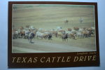 Texas Cattle Drive - Autres & Non Classés