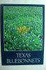 Texas Bluebonnets - Fleurs - Andere & Zonder Classificatie