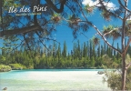 Nouvelle Calédonie - île Des Pins - La Piscine Naturelle à ORO. - Nouvelle-Calédonie