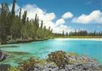 Nouvelle Calédonie - île Des Pins - La Piscine Naturelle à ORO. - New Caledonia