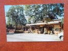 Pioneer Trading Post Gatlinburg TN  Early Chrome    == = ==   ===  =ref 339 - Otros & Sin Clasificación