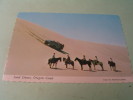 SAND DUNES..OREGON COAST - Andere & Zonder Classificatie