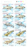 Dominica 2009 Dolphins Blk Of 4 MNH - Dominica (1978-...)