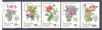 1993. Russia, Flora, 5v Mint/** - Unused Stamps