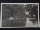 PONT-de-VAUX (Ain) - La Reyssouze Et Le Pont Des Cordeliers - Non Voyagée - Pont-de-Vaux