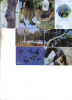 Brasil-projeto Arara Azul Parrtos-(brasil Telecom)-(8 Card )-used4/2003+2 Card Prepiad Free - Parrots