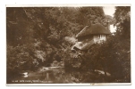 Yeovil (Royaume-Uni) : Nine Springs With The Cottage In 1930. - Andere & Zonder Classificatie