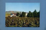 Julienas En Beaujolais - La Coopérative Et Le Château Du Bois De La Salle - Vue D'ensemble Sur Les Vignobles - Julienas