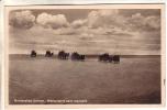 GOOD OLD GERMANY POSTCARD - Nordseebad Duhnen - Cuxhaven