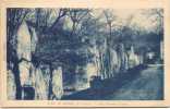 AUBIERE - Les Grandes Caves - Aubiere