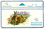 TELECARTE BELGE...LAPINS.. . VOIR PHOTO SCANNEE - Conigli