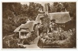 Selworthy Cottages - Other & Unclassified