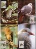 Mauritius: WWF Birds "pigeon Des Mares" 1985 Lot De 4 - Mauricio (1968-...)