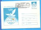 International Year Of Peace, Dove Of Peace Symbol ROMANIA Postal Stationery Cover 1986 - Pigeons & Columbiformes