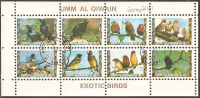 Umm Al-Qiwain 1972 Mi# 1266-1273 Used - Mini Sheet - Exotic Birds / Finches - Umm Al-Qiwain