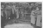 83 // BARJOLS,   Fêtes Des Tripettes De La St Marcel  / Le Boeuf à L'abreuvoir   ANIMEE - Barjols