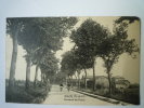 GRETZ (Seine-et-Marne)  :  Avenue De  PARIS - Gretz Armainvilliers