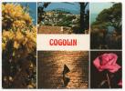 - GOGOLIN (Var) - Multi-vues - - Cogolin