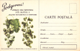 Romania 1964 Grapes,Vineyard Manna,rare Stationery Unused. - Wijn & Sterke Drank