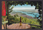 Germany PPC Rüdesheim Am Rhein Wine Bottle And View - Ruedesheim A. Rh.