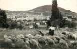 Alpes De Haute Provence : Réf : A 11-71 : Manosque - Manosque