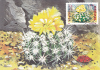 CACTUSSES,CACTUS 1997 CM,MAXICARD,CARTES MAXIMUM,obliteration FDC,PREMIER JOUR, Romania. - Cactusses