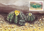 CACTUSSES,CACTUS 1997 CM,MAXICARD,CARTES MAXIMUM,obliteration FDC,PREMIER JOUR, Romania. - Cactussen