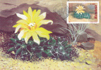 CACTUSSES,CACTUS 1997 CM,MAXICARD,CARTES MAXIMUM,obliteration FDC,PREMIER JOUR, Romania. - Cactusses