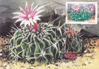 CACTUSSES,CACTUS 1997 CM,MAXICARD,CARTES MAXIMUM,obliteration FDC,PREMIER JOUR, Romania. - Cactusses