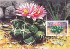 CACTUSSES,CACTUS 1997 CM,MAXICARD,CARTES MAXIMUM,obliteration FDC,PREMIER JOUR, Romania. - Cactus