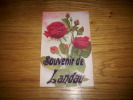 SOUVENIR DE LANDAU - Landau