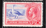 Cayman Islands 1935-36 KG Def 1p Birds Mint - Cayman (Isole)
