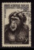 A.O.F., 5f Chimpanzee, Nature Protection, Animal - Chimpancés