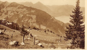 Hotel Kurhaus Breitelauenenalp Blick Auf Den Thunersee - Lauenen