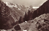 Bei Murren -Ebnefluh, Mittaghorn, Grosshorn,Breithorn,Tschingelhorn - Horn