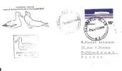 7247  CAMPELL ISLAND -  NEW ZELAND ANTARTIC - Storia Postale