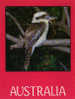 Le Kookaburra Australia (Dacelo Novaeguineae) L'oiseau Rieur. Carte Neuve  Crystal Craft Collection - Other & Unclassified