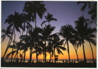 Waikiki Sunset - Andere & Zonder Classificatie