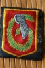 MILITARIA BLASON ECUSSON MILITAIRE BRODE EN TISSU ARMEE DE TERRE FRANCE GANT DE FER REGIMENT/CIE  VERT JAUNE GRIS /NOIR - Stoffabzeichen