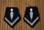 MILITARIA BLASON ECUSSON MILITAIRE BRODE EN TISSU GRADES DE LA GENDARMERIE  NATIONALE  DE FRANCE - Patches