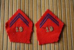 Delcampe - MILITARIA BLASON ECUSSON MILITAIRE BRODE EN TISSU 19 E REGIMENT  NATIONALE  DE FRANCE ROUGE BLEU OR - Patches