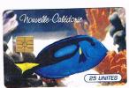 NUOVA CALEDONIA (NEW CALEDONIA)  - OPT  (CHIP) - 1995 FISH: POISSON TROPICAL (PARACANTHURUS  HEPATUS) - USED - RIF. 3703 - Peces