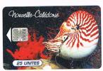 NUOVA CALEDONIA (NEW CALEDONIA)  - OPT  (CHIP) - 1996 SHELL: NAUTILUS MACROMPHALUS  - USED - RIF.3704 - Fische