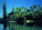 Calm Of The Evening, Noumea, New Caledonia, Solaris Unused - New Caledonia